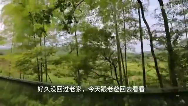 谈球吧官网登录入口shanji发布vlog：情绪只能自己消化 打职业让家人过上更好的生活